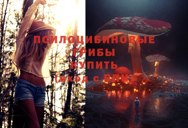 jwh Надым